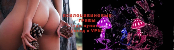 соль ск Алзамай