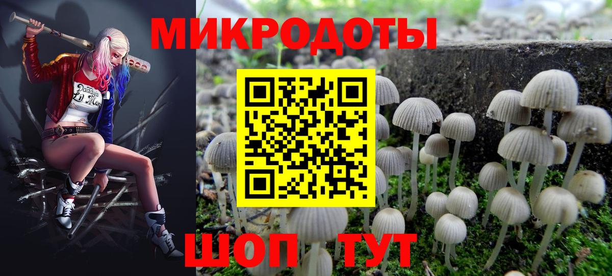 где можно купить наркотик  Вход с VPN  Волхов  Псилоцибиновые грибы ЛСД 